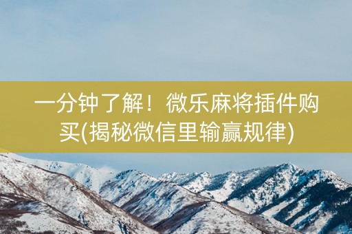 一分钟了解！微乐麻将插件购买(揭秘微信里输赢规律)