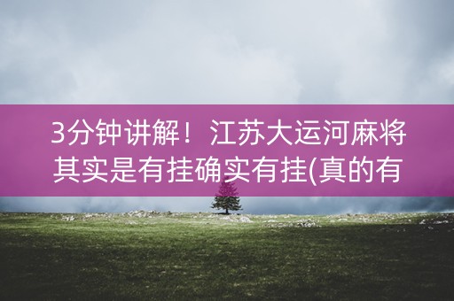 3分钟讲解！江苏大运河麻将其实是有挂确实有挂(真的有挂)