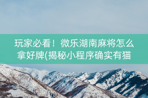 玩家必看！微乐湖南麻将怎么拿好牌(揭秘小程序确实有猫腻)