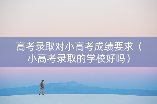 高考录取对小高考成绩要求（小高考录取的学校好吗）