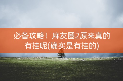 必备攻略！麻友圈2原来真的有挂呢(确实是有挂的)