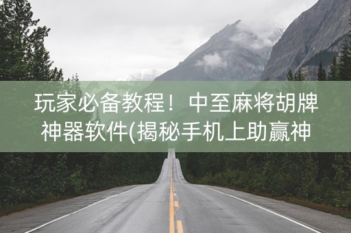 玩家必备教程！中至麻将胡牌神器软件(揭秘手机上助赢神器)