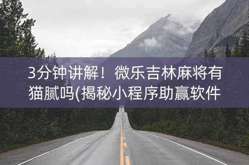 3分钟讲解！微乐吉林麻将有猫腻吗(揭秘小程序助赢软件)
