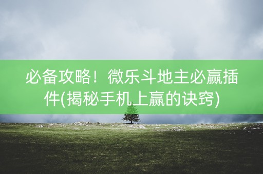 必备攻略！微乐斗地主必赢插件(揭秘手机上赢的诀窍)
