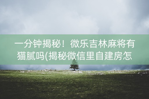 一分钟揭秘！微乐吉林麻将有猫腻吗(揭秘微信里自建房怎么赢)
