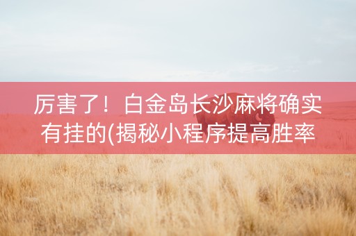 厉害了！白金岛长沙麻将确实有挂的(揭秘小程序提高胜率)