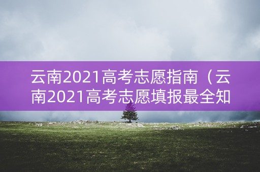 云南2021高考志愿指南（云南2021高考志愿填报最全知识点）