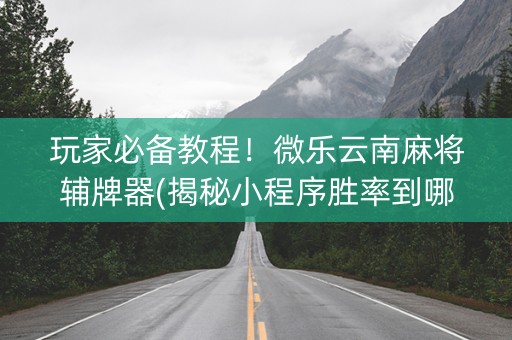 玩家必备教程！微乐云南麻将辅牌器(揭秘小程序胜率到哪调)