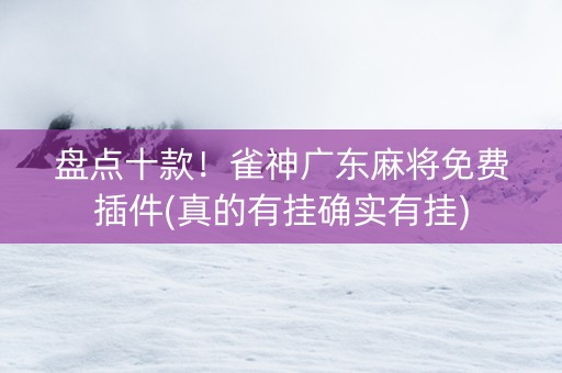 盘点十款！雀神广东麻将免费插件(真的有挂确实有挂)