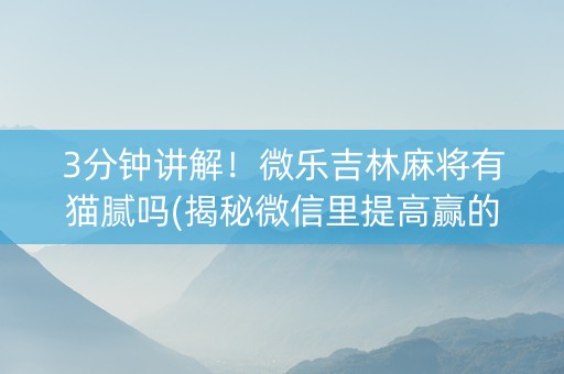 3分钟讲解！微乐吉林麻将有猫腻吗(揭秘微信里提高赢的概率)