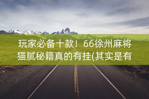 玩家必备十款！66徐州麻将猫腻秘籍真的有挂(其实是有挂确实有挂)