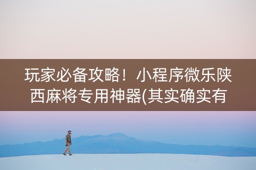 玩家必备攻略！小程序微乐陕西麻将专用神器(其实确实有挂)