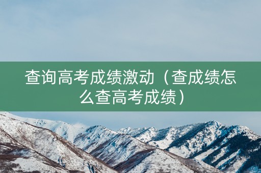 查询高考成绩激动（查成绩怎么查高考成绩）