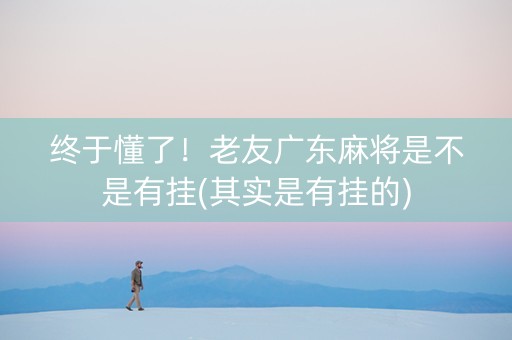 终于懂了！老友广东麻将是不是有挂(其实是有挂的)