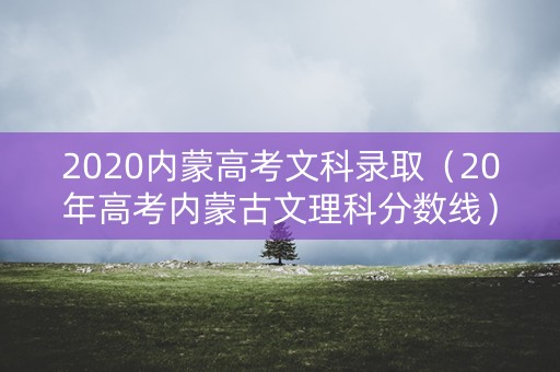 2020内蒙高考文科录取（20年高考内蒙古文理科分数线）