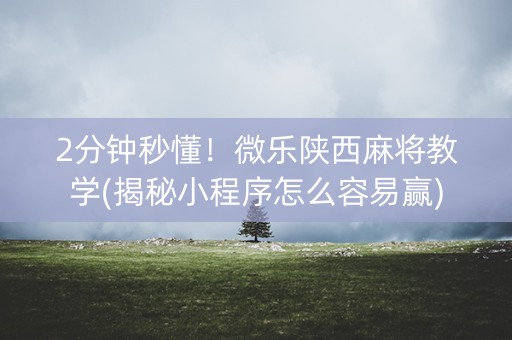 2分钟秒懂！微乐陕西麻将教学(揭秘小程序怎么容易赢)