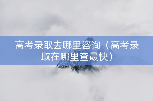 高考录取去哪里咨询（高考录取在哪里查最快）