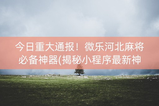 今日重大通报！微乐河北麻将必备神器(揭秘小程序最新神器下载)