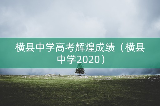 横县中学高考辉煌成绩（横县中学2020）