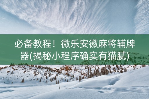 必备教程！微乐安徽麻将辅牌器(揭秘小程序确实有猫腻)