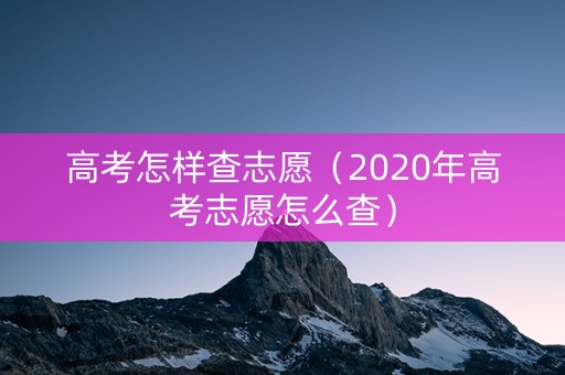 高考怎样查志愿（2020年高考志愿怎么查）