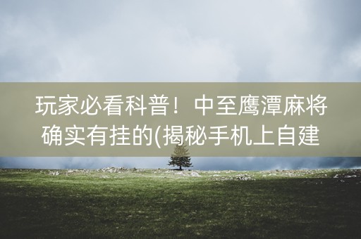 玩家必看科普！中至鹰潭麻将确实有挂的(揭秘手机上自建房怎么赢)