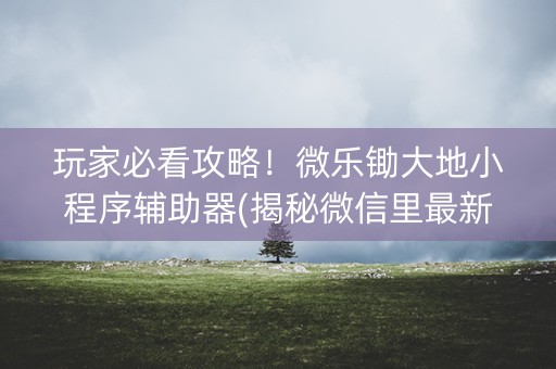 玩家必看攻略！微乐锄大地小程序辅助器(揭秘微信里最新神器下载)