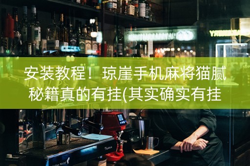 安装教程！琼崖手机麻将猫腻秘籍真的有挂(其实确实有挂)