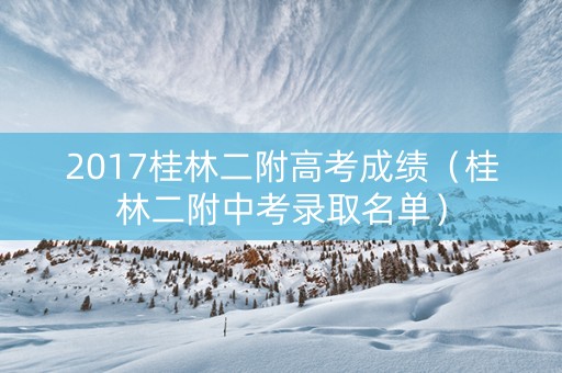 2017桂林二附高考成绩（桂林二附中考录取名单）
