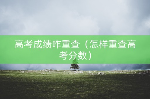 高考成绩咋重查（怎样重查高考分数）