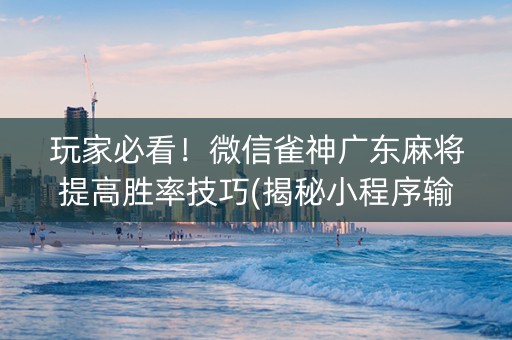 玩家必看！微信雀神广东麻将提高胜率技巧(揭秘小程序输赢规律)