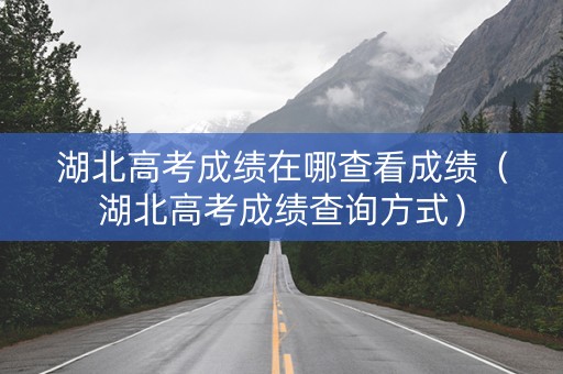 湖北高考成绩在哪查看成绩（湖北高考成绩查询方式）