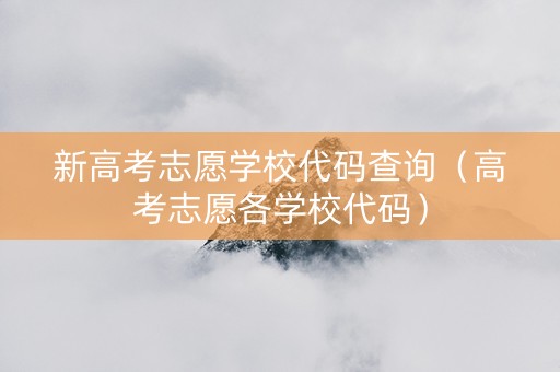 新高考志愿学校代码查询（高考志愿各学校代码）