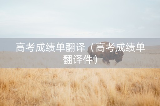 高考成绩单翻译（高考成绩单翻译件）