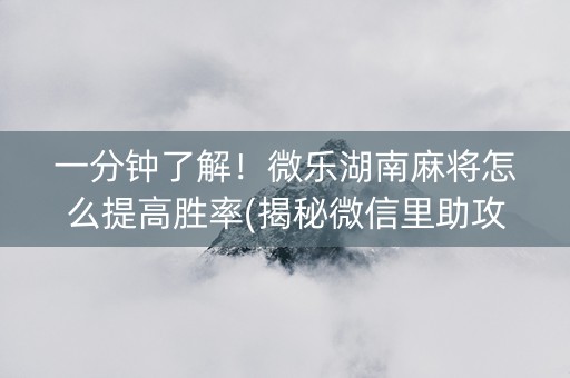 一分钟了解！微乐湖南麻将怎么提高胜率(揭秘微信里助攻神器)