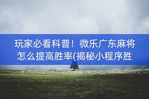 玩家必看科普！微乐广东麻将怎么提高胜率(揭秘小程序胜率到哪调)