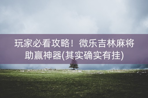 玩家必看攻略！微乐吉林麻将助赢神器(其实确实有挂)