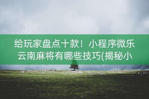 给玩家盘点十款！小程序微乐云南麻将有哪些技巧(揭秘小程序插件免费)