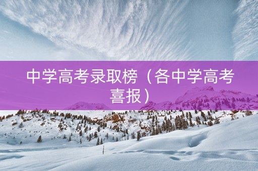 中学高考录取榜（各中学高考喜报）
