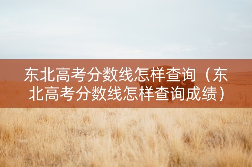 东北高考分数线怎样查询（东北高考分数线怎样查询成绩）