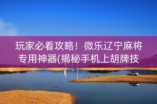 玩家必看攻略！微乐辽宁麻将专用神器(揭秘手机上胡牌技巧)