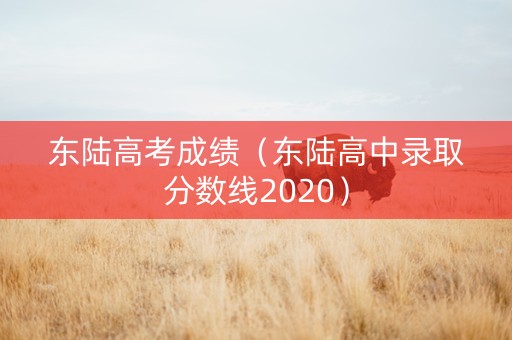 东陆高考成绩（东陆高中录取分数线2020）
