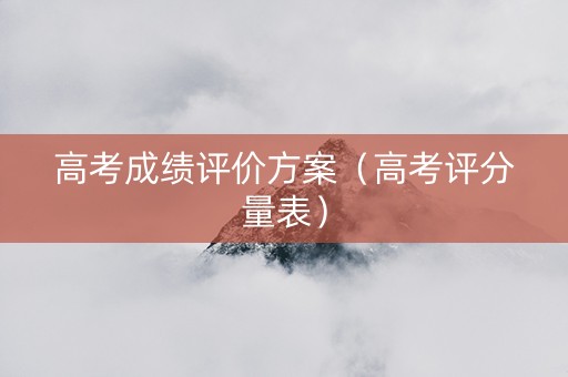 高考成绩评价方案（高考评分量表）