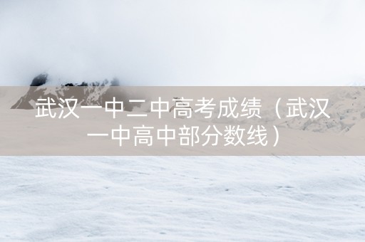 武汉一中二中高考成绩（武汉一中高中部分数线）