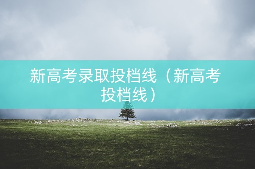 新高考录取投档线（新高考 投档线）