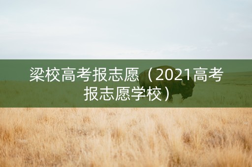 梁校高考报志愿（2021高考报志愿学校）