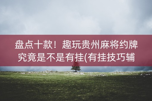 盘点十款！趣玩贵州麻将约牌究竟是不是有挂(有挂技巧辅助器)