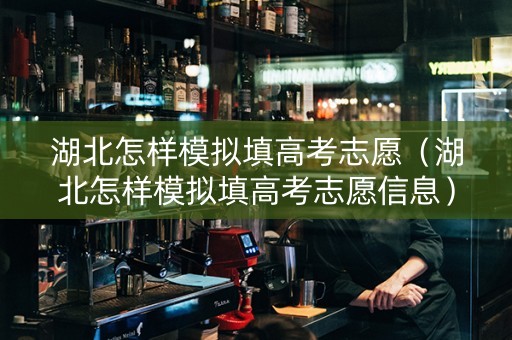 湖北怎样模拟填高考志愿（湖北怎样模拟填高考志愿信息）