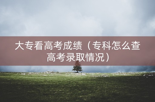 大专看高考成绩（专科怎么查高考录取情况）
