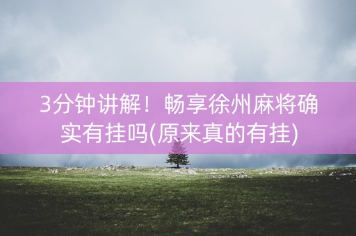 3分钟讲解！畅享徐州麻将确实有挂吗(原来真的有挂)
